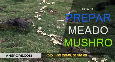Preparing Meadow Mushrooms: A Step-by-Step Guide