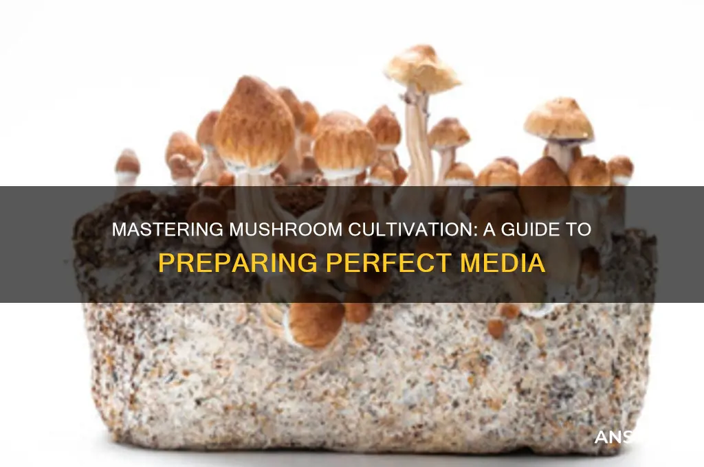 how to prepare media for mushroom