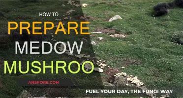 Preparing Meadow Mushrooms: A Simple Guide