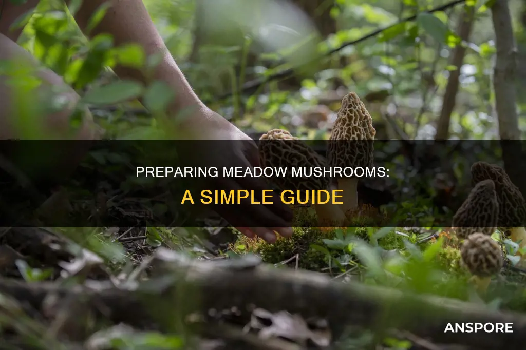 how to prepare medow mushrooms