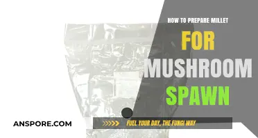 Mastering Millet Preparation for Optimal Mushroom Spawn Growth