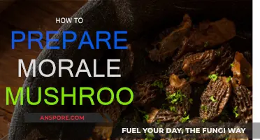 Morale Mushrooms: A Tasty, Healthy Treat