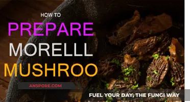 Morel Mushrooms: Preparation Techniques for Culinary Excellence