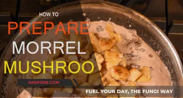 Preparing Morrel Mushrooms: A Step-by-Step Guide