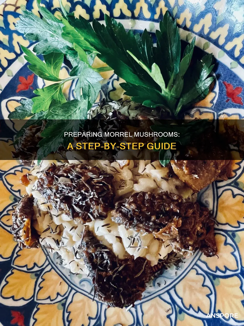how to prepare morrel mushrooms