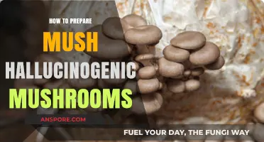Mastering the Art of Preparing Hallucinogenic Mushrooms Safely and Effectively