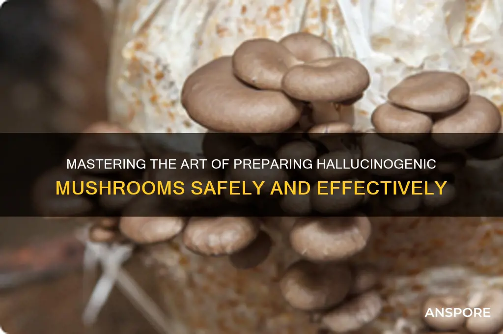 how to prepare mush hallucinogenic mushrooms