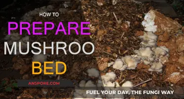 Mushroom Bed Preparation: A Step-by-Step Guide