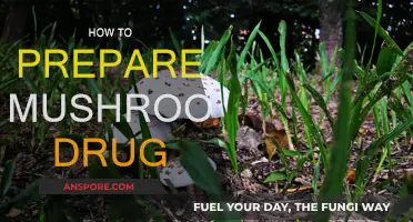 Preparing Mushroom Drugs: A Step-by-Step Guide