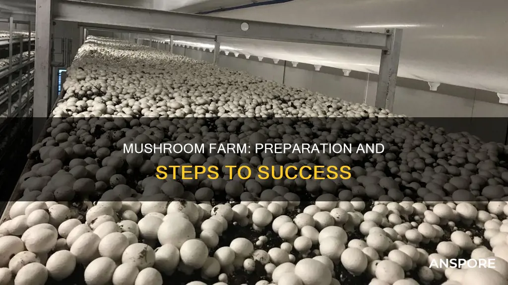 how to prepare mushroom farm
