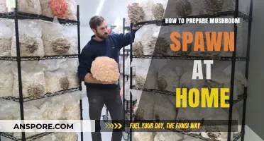 DIY Mushroom Spawn: Simple Steps for Home Cultivation Success