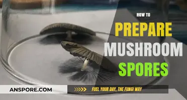 Mastering Mushroom Spores: A Step-by-Step Preparation Guide for Beginners
