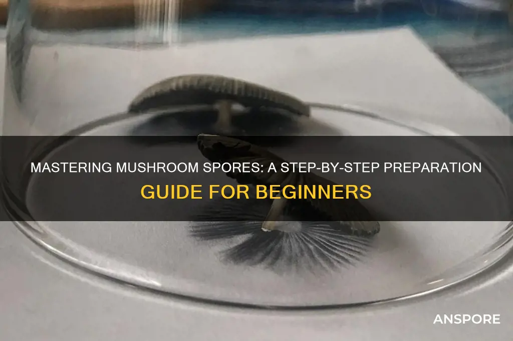 how to prepare mushroom spores