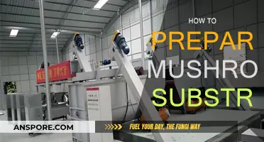 Preparing Mushroom Substrate: A Step-by-Step Guide