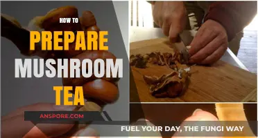 Brewing Mushroom Tea: A Step-by-Step Guide