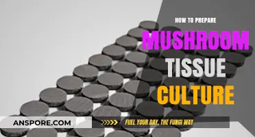 Mastering Mushroom Tissue Culture: A Step-by-Step Preparation Guide