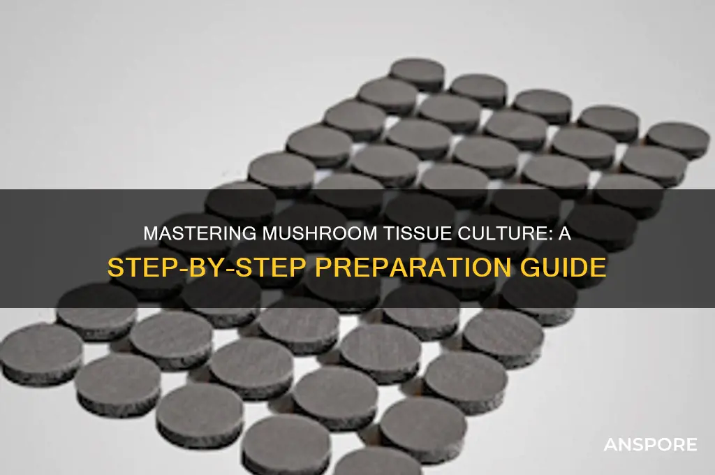 how to prepare mushroom tissue culture