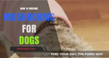 Safely Preparing Mushrooms for Dogs: A Step-by-Step Guide