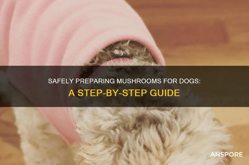 how to prepare mushrooms for dogs