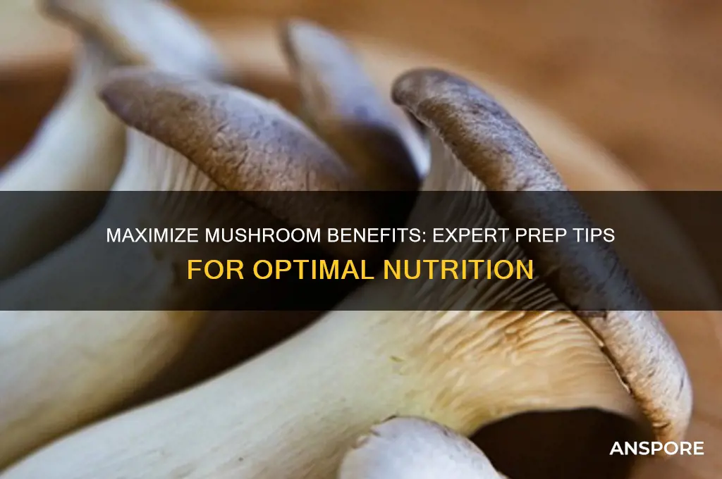 how to prepare mushrooms for most benefits