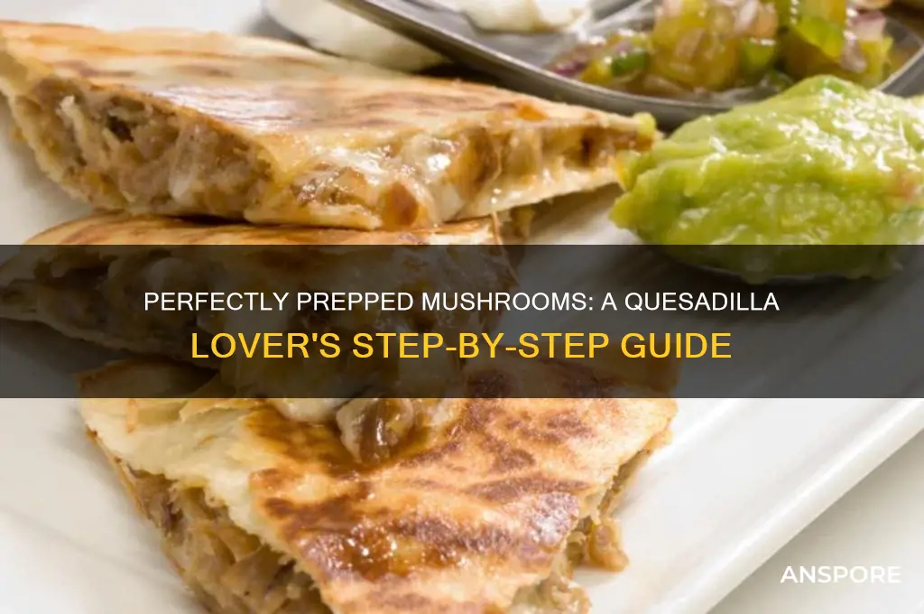 how to prepare mushrooms for quesadillas