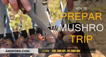 Preparing for a Mushroom Trip: A Step-by-Step Guide