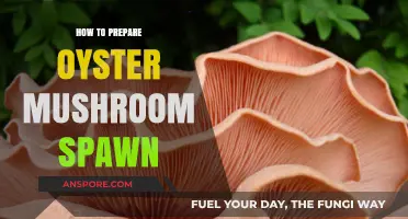Mastering Oyster Mushroom Spawn Preparation: A Step-by-Step Guide