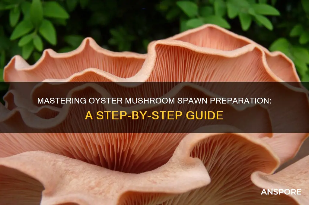 how to prepare oyster mushroom spawn