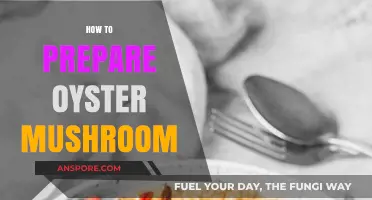 Delicious Oyster Mushroom Recipes You Can Try at Home