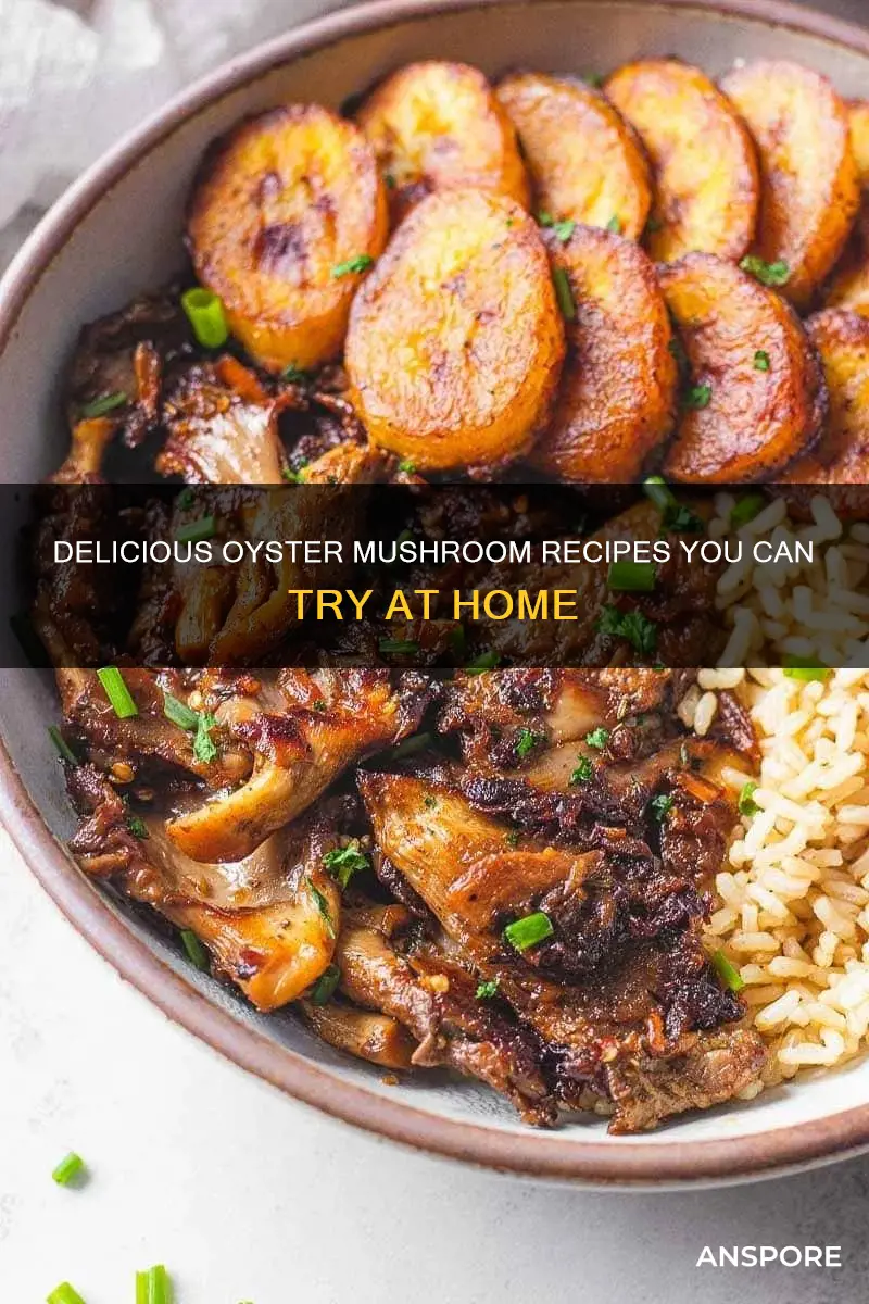 how to prepare oyster mushroom