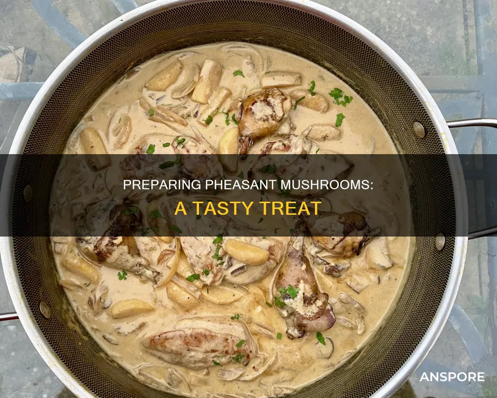 how to prepare pheasant mushrooms