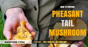 Mastering the Art of Preparing Pheasant Tail Mushrooms: A Culinary Guide