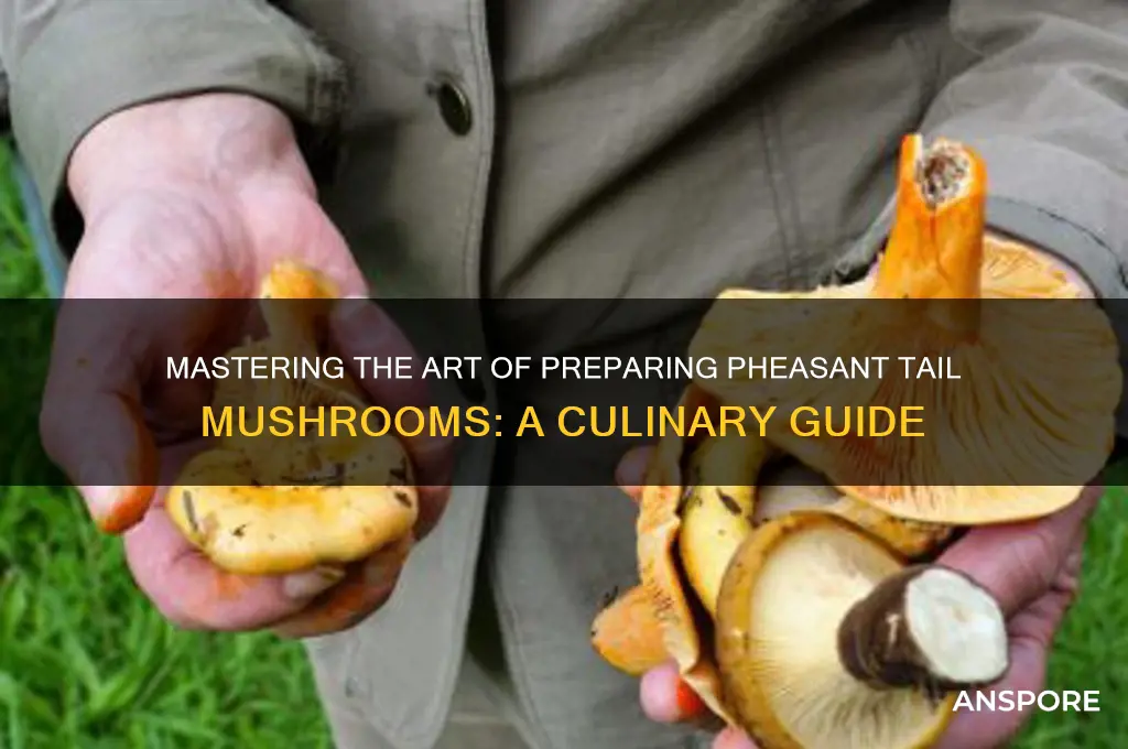 how to prepare pheasant tail mushrooms