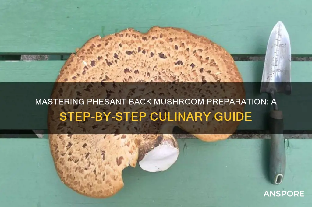 how to prepare phesant back mushroom