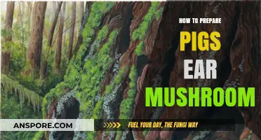 Mastering the Art of Preparing Pigs Ear Mushrooms: A Step-by-Step Guide