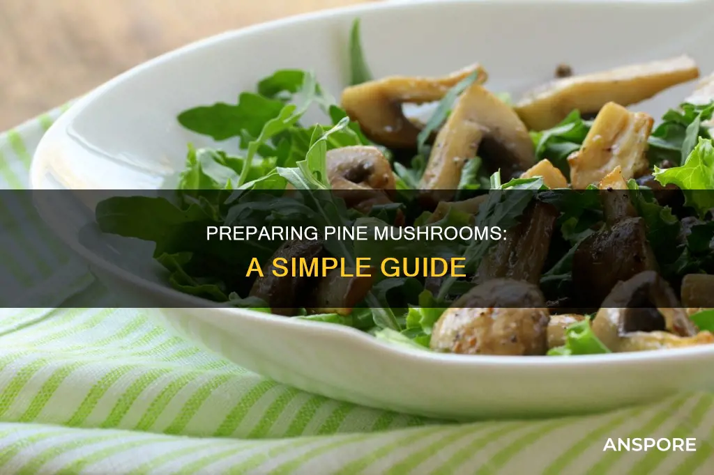 how to prepare pine mushroom