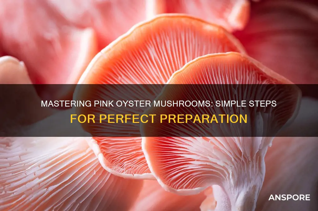 how to prepare pink oyster mushrooms