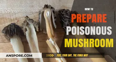 Avoid Disaster: Safely Identifying and Handling Poisonous Mushrooms
