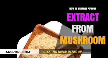 Mastering Mushroom Powder Extract: A Step-by-Step Preparation Guide