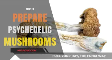 Preparing Psychedelic Mushrooms: A Step-by-Step Guide