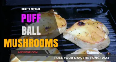 Mastering Puff Ball Mushrooms: A Step-by-Step Preparation Guide