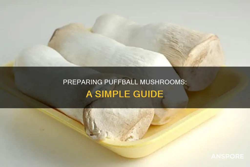 how to prepare puffball mushroom