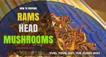Mastering Rams Head Mushrooms: A Step-by-Step Preparation Guide