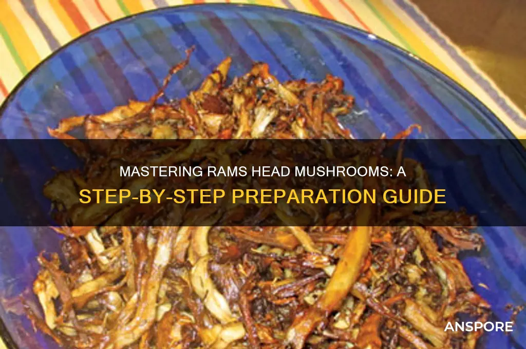how to prepare rams head mushrooms