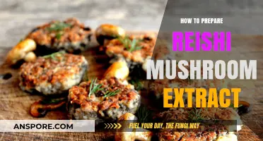 Mastering Reishi Mushroom Extract Preparation: A Step-by-Step Guide