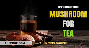 Brewing Reishi Mushroom Tea: Simple Preparation Tips for Optimal Benefits