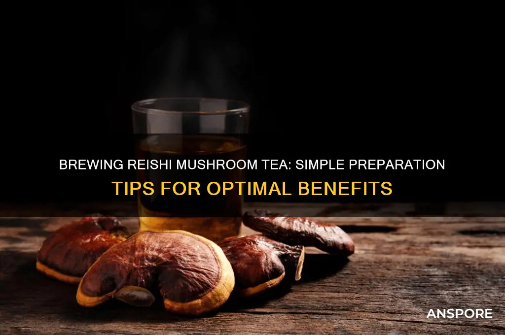 how to prepare reishi mushroom for tea