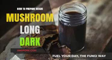 Mastering Reishi Mushroom Preparation: Long Dark Brewing Techniques Revealed