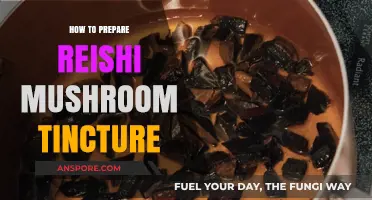 Mastering Reishi Mushroom Tincture Preparation: A Step-by-Step Guide