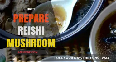 Preparing Reishi Mushrooms: A Step-by-Step Guide